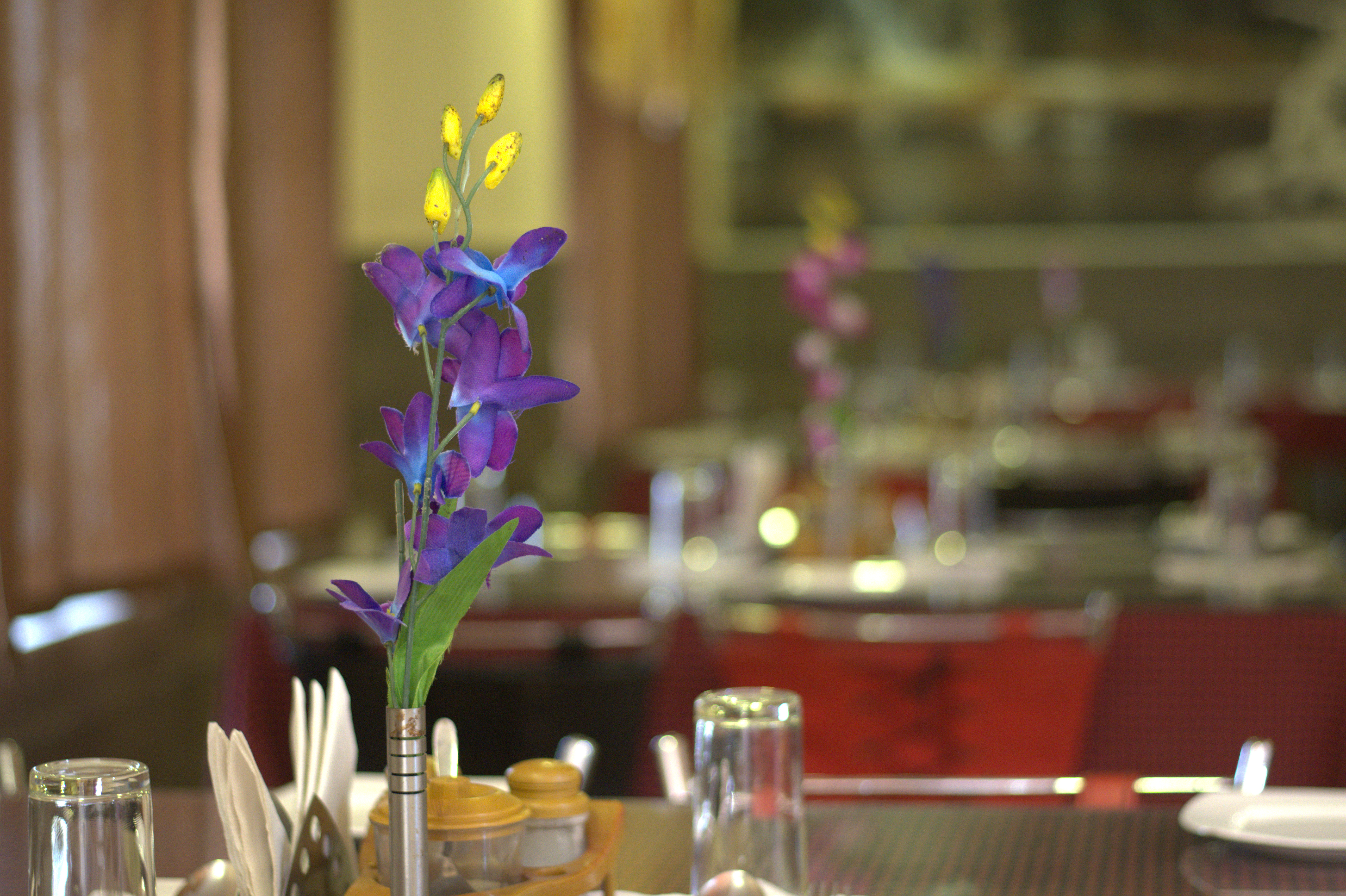 Welcome to Amrapalli Resort